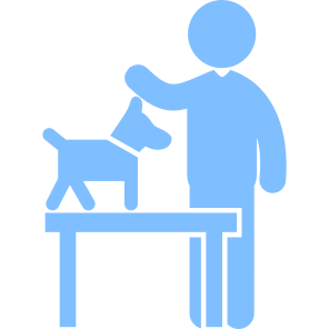 En silhouettes . un petit chien sur un table d’examen devant un humain