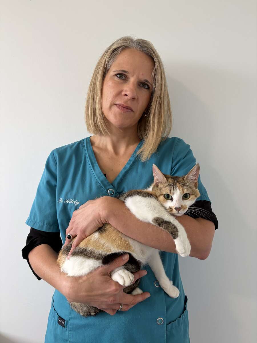 Dr Gaëlle Allely